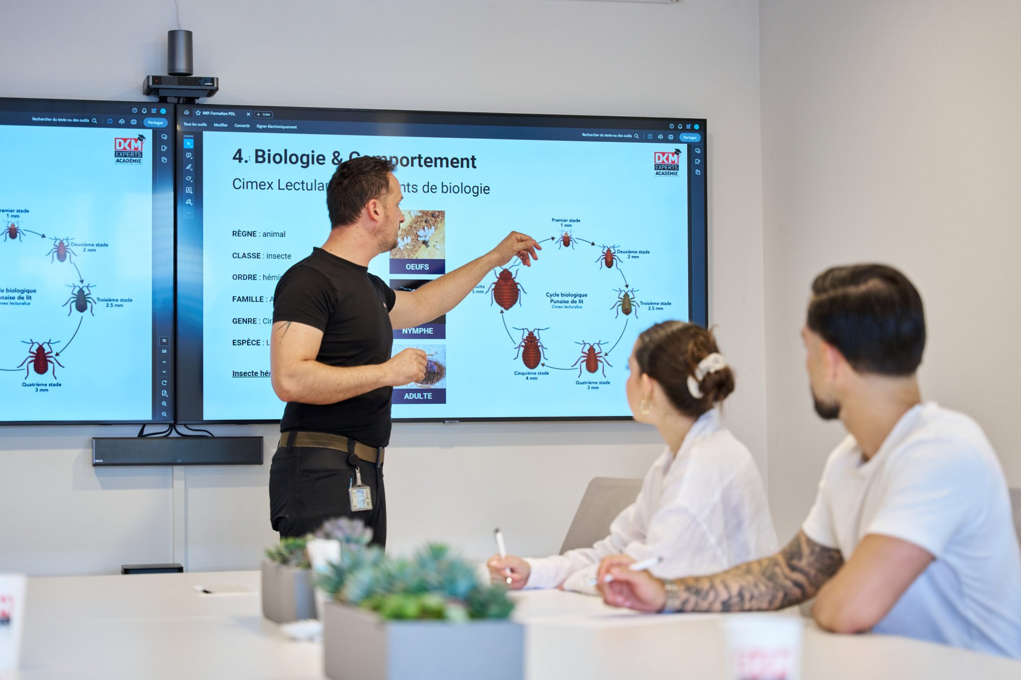 Formation DKM Experts à la lutte contre les insectes en entreprise