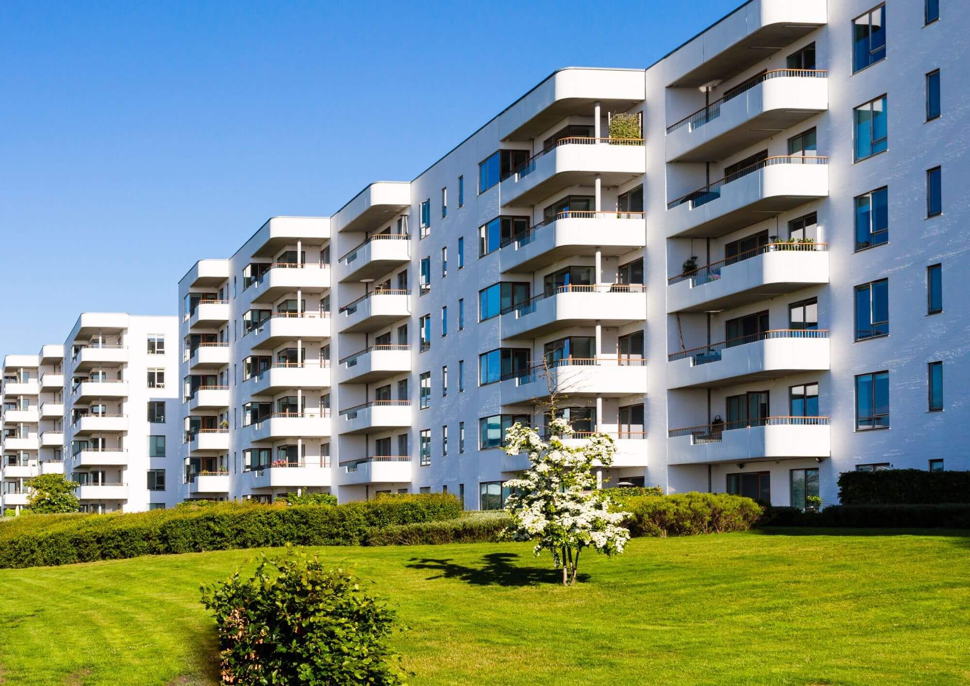 Formation hygiène nuisibles copropriété